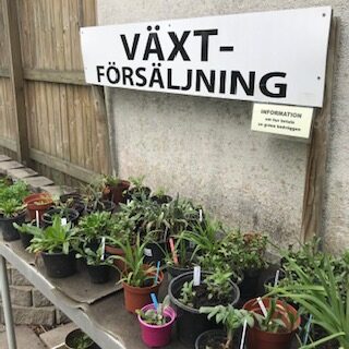 växtförsäljning